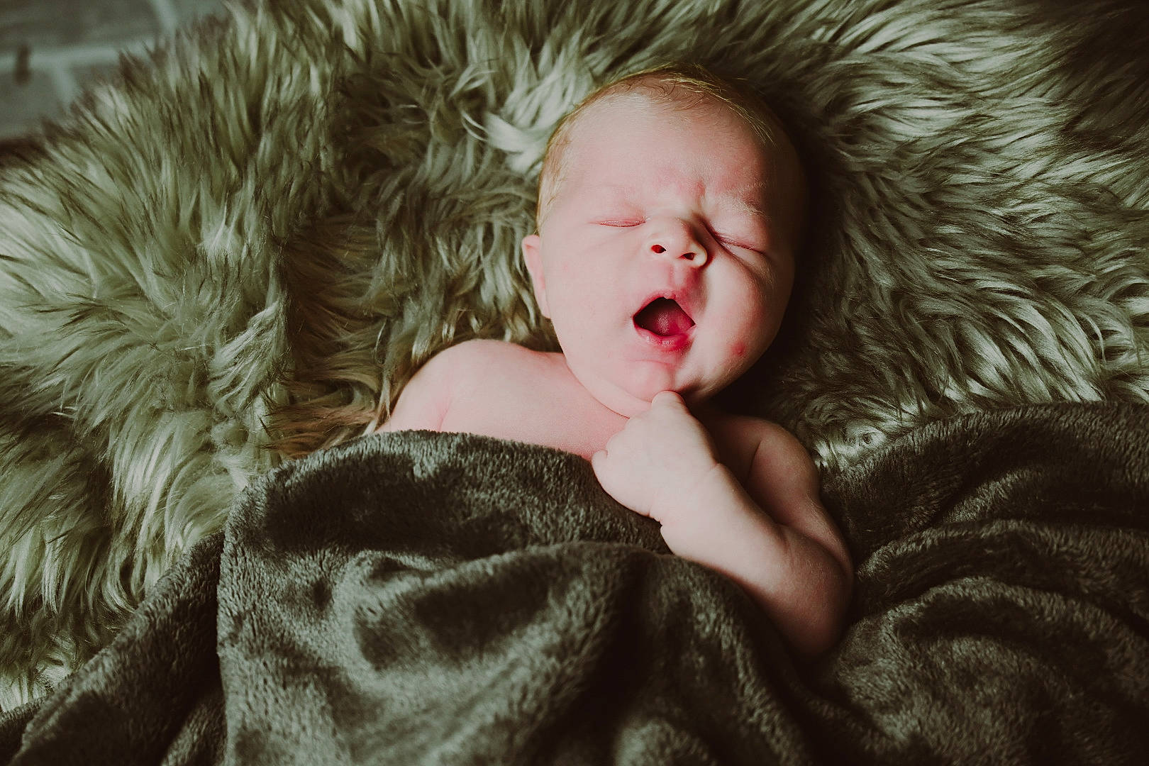 Brylon joined the competition — help win amazing prizes! comfort, eye, eyebrow, eyelash, facial_expression, finger, flash_photography, gesture, hair, happy, head, human_body, iris, lip, mammal, mouth, neck, outerwear, person, skin