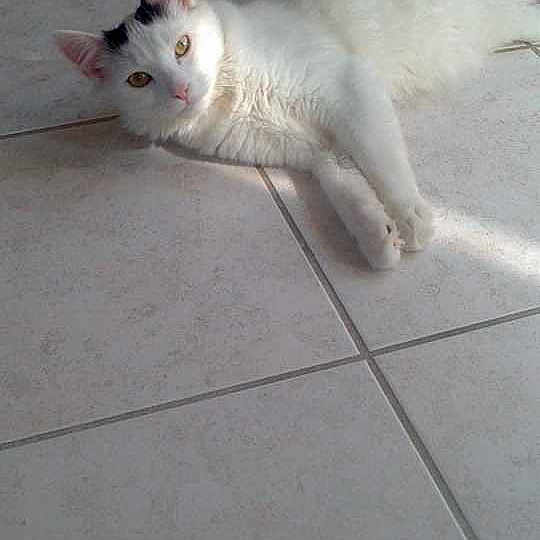 Filou is registered to the contest to win money with this photo: