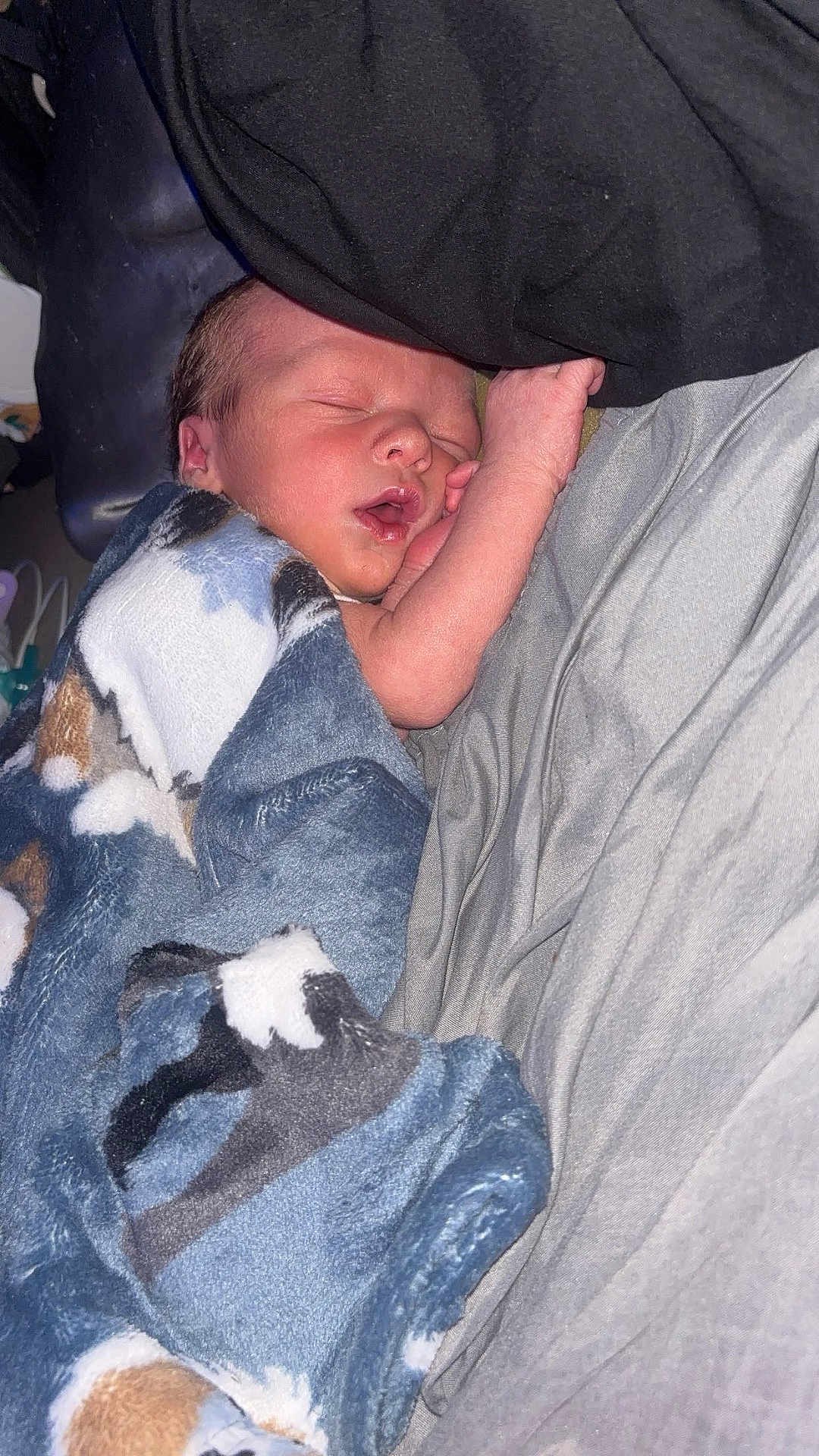 Bradyn