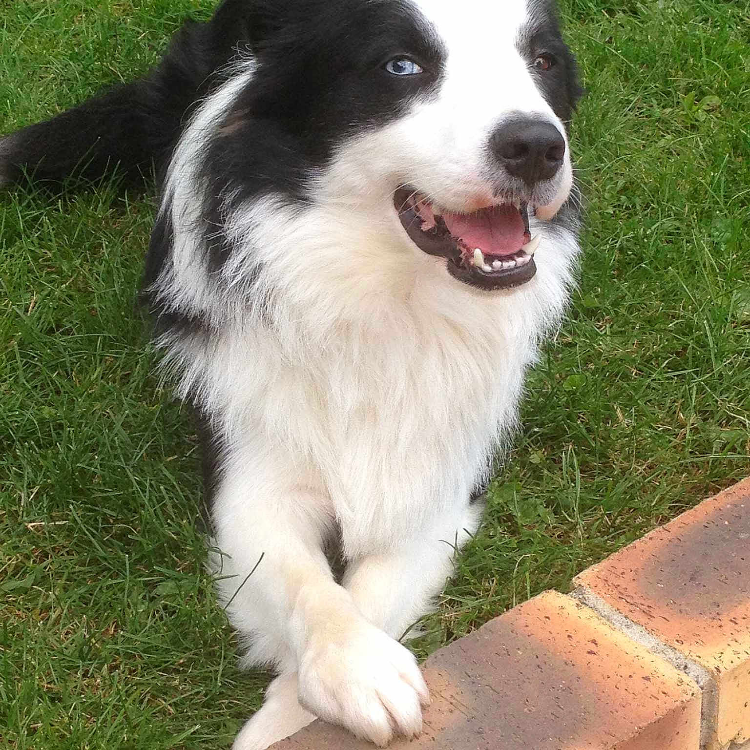 Hapache participe au concours pour gagner de l'argent avec cette photo :