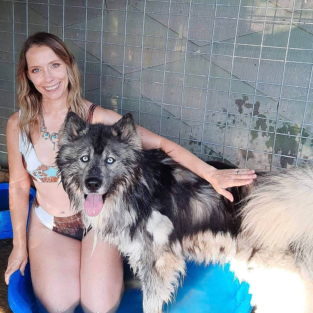 Tatonka is registered to the contest to win money with this photo: blue, carnivore, companion_dog, dog, dog_breed, dog_supply, electric_blue, fawn, flash_photography, foot, fur, happy, human_leg, paw, smile, snout, sporting_group, tail, thigh, toy_dog