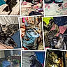 cat, dog, tabby_cat, black_dog, sleeping, collage, bed, blanket, indoor, furniture, pet, resting, household, cozy, necklace, closeup, pile_of_clothes, carpet, couch, animal
