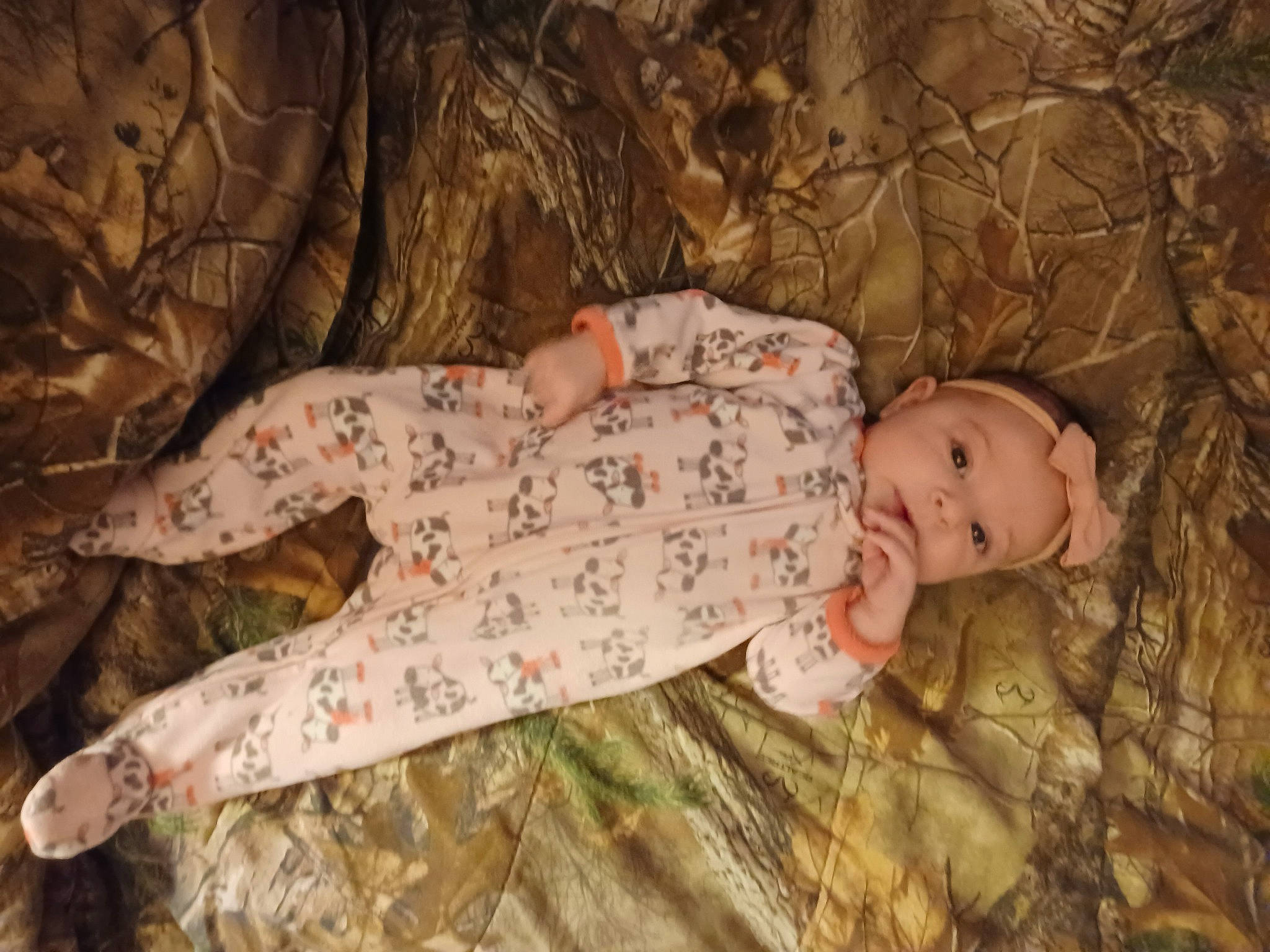 Willow joined the competition — help win amazing prizes! baby, baby_toddler_clothing, brown, child, comfort, grass, human_body, linens, military_camouflage, organism, pattern, person, plant, portrait_photography, room, sitting, skin, sleeve, toddler, tree