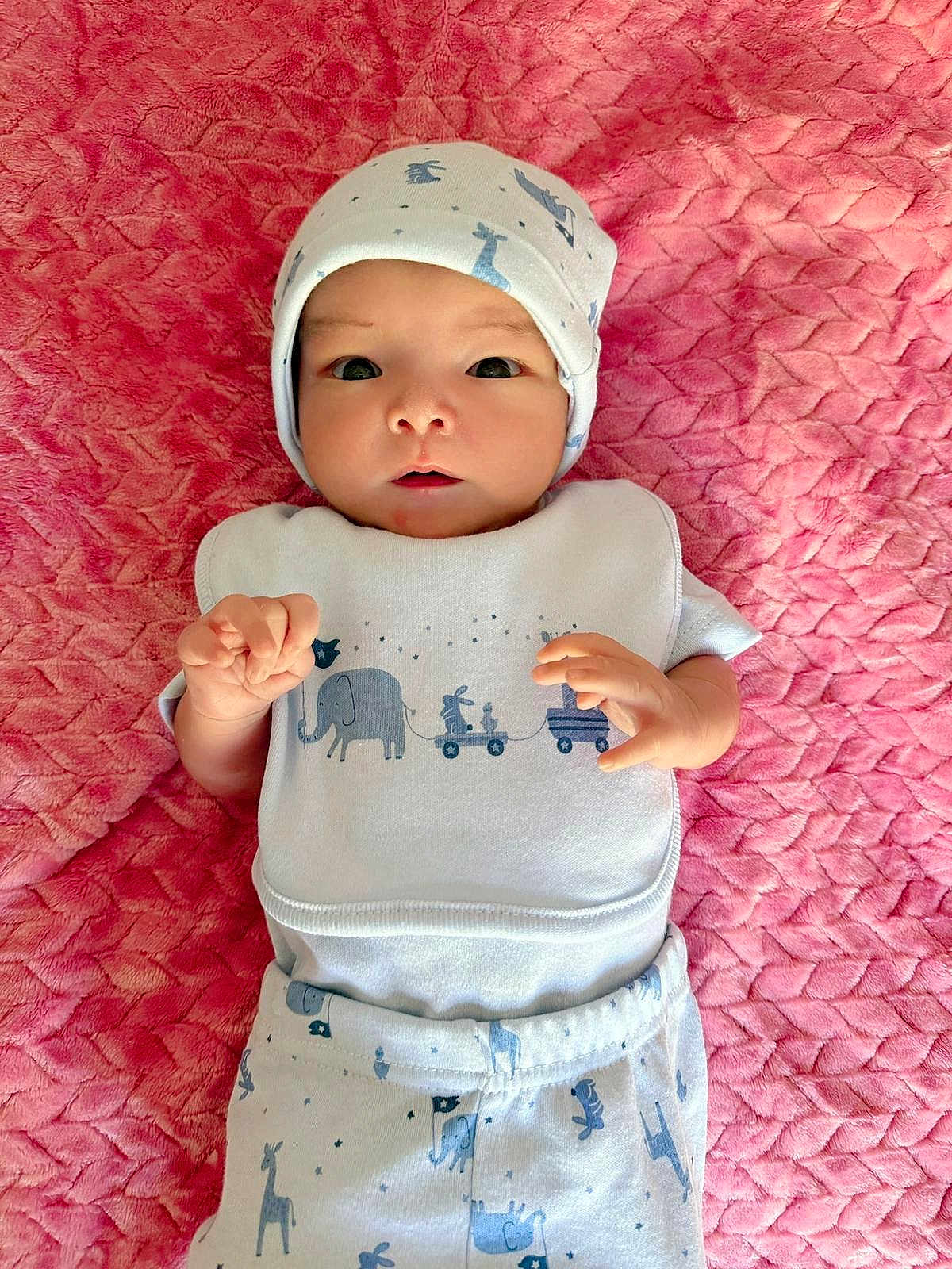 Elina joined the competition — help win amazing prizes! animal_print, baby, bib, blanket, child, clothing, cute, elephant, face, giraffe, hands, hat, indoors, infant, lying_down, newborn, pink, portrait, rabbit, soft_texture