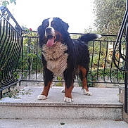 Farouck a rejoint le concours — aidez-le/la à gagner de superbes lots !