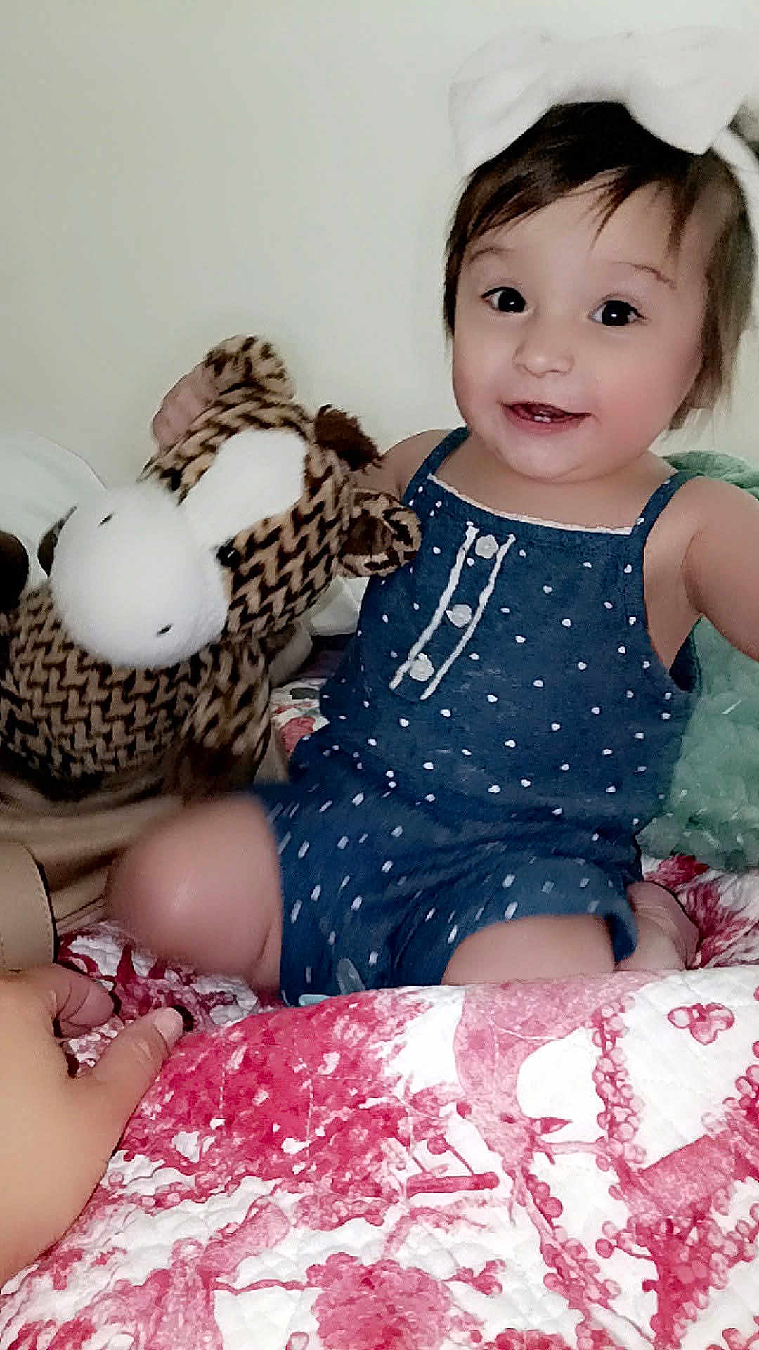 Piper