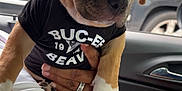 Chanel is registered to the contest to win money with this photo: animal, car_door, car_interior, casual, closeup, clothing, cute, dog, hand, holding, indoor, jewelry, person, pet, puppy, rings, seat, tshirt, window, young_animal