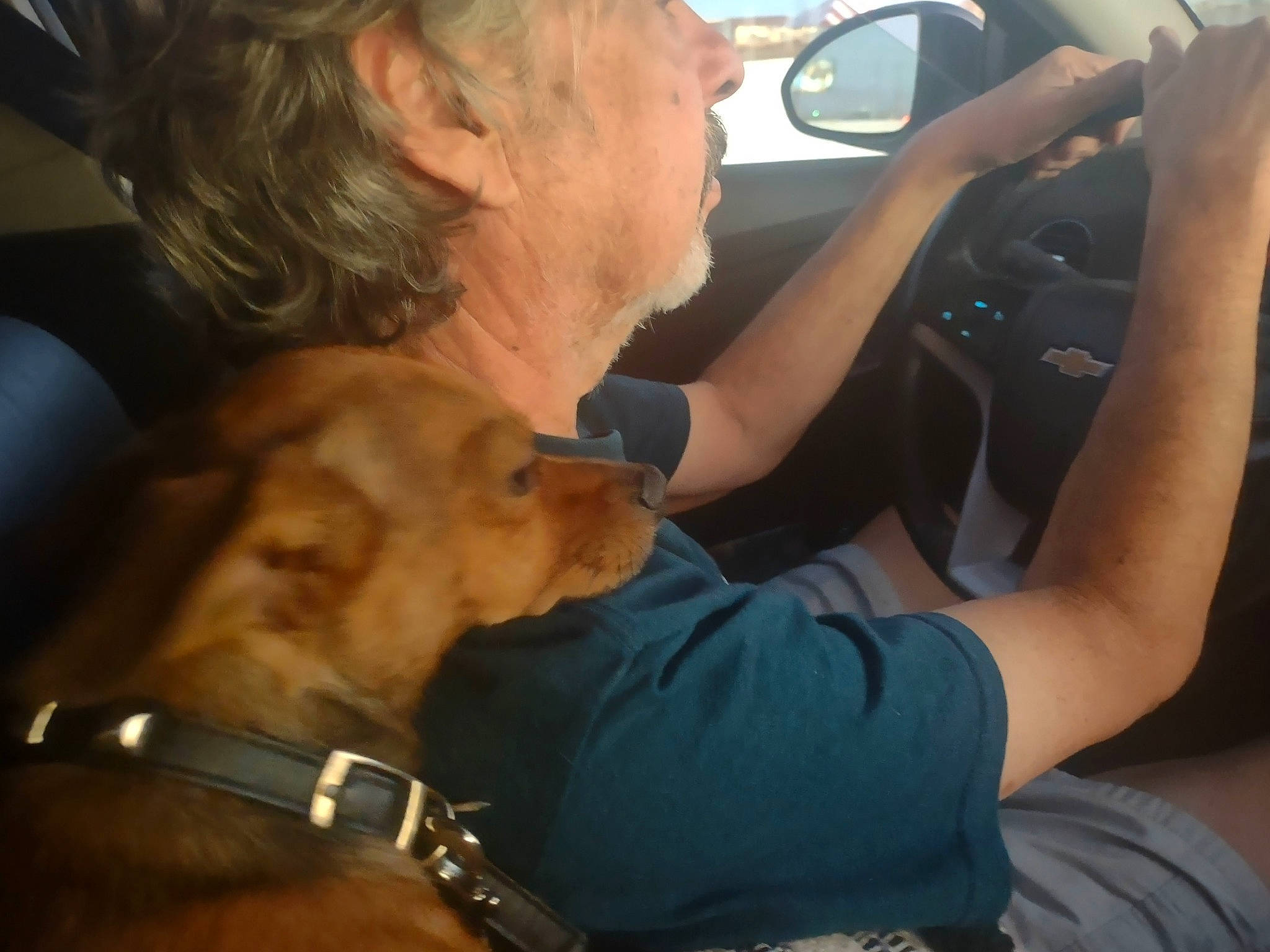 Ryder joined the competition — help win amazing prizes! auto_part, automotive_design, automotive_exterior, automotive_mirror, car, car_seat, carnivore, dog, dog_breed, elbow, eyewear, gesture, motor_vehicle, personal_luxury_car, steering_wheel, sunglasses, trunk, vehicle, vehicle_door, wrinkle