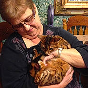 Nala is registered to the contest to win money with this photo: woman, cat, bengal_cat, indoor, holding, glasses, watch, chair, wooden_furniture, patterned_clothing, green_wallpaper, portrait, pet, affection, domestic_animal, seated, close_up, home, feline, casual