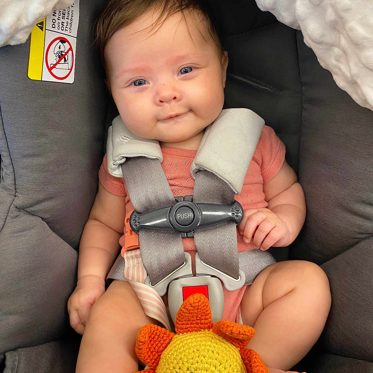 Hadleigh Rose is registered to the contest to win money with this photo: baby, car_seat, child, clothing, comfort, crocheted_toy, cute, fabric, face, happy, indoor, infant, person, safety_harness, seat, skin, smiling, sun_toy, toy, young