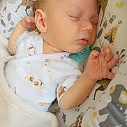 Nathanaël participe au concours pour gagner de l'argent avec cette photo : baby, newborn, sleeping, blanket, pacifier, infant, cozy, baby_nest, animal_print, woodland_theme, peaceful, soft, cute, child, resting, toddler, clothing, pattern, closeup, nursery