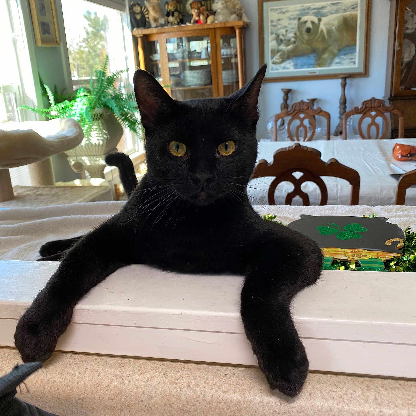 Binx Soule is registered to the contest to win money with this photo: animal, architecture, art, bear, building, cat, chair, couch, furniture, indoors, interiordesign, livingroom, painting, person, pet, plant, pottedplant, room, table, wood
