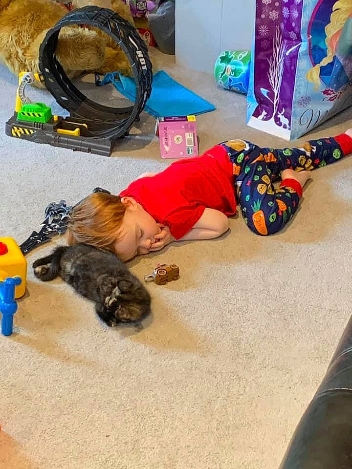 Jazmine is registered to the contest to win money with this photo: boot, carnivore, cat, child, comfort, dog_breed, floor, flooring, fun, fur, leisure, luggage_and_bags, play, room, sitting, sneakers, sporting_group, tire, toddler, visual_arts