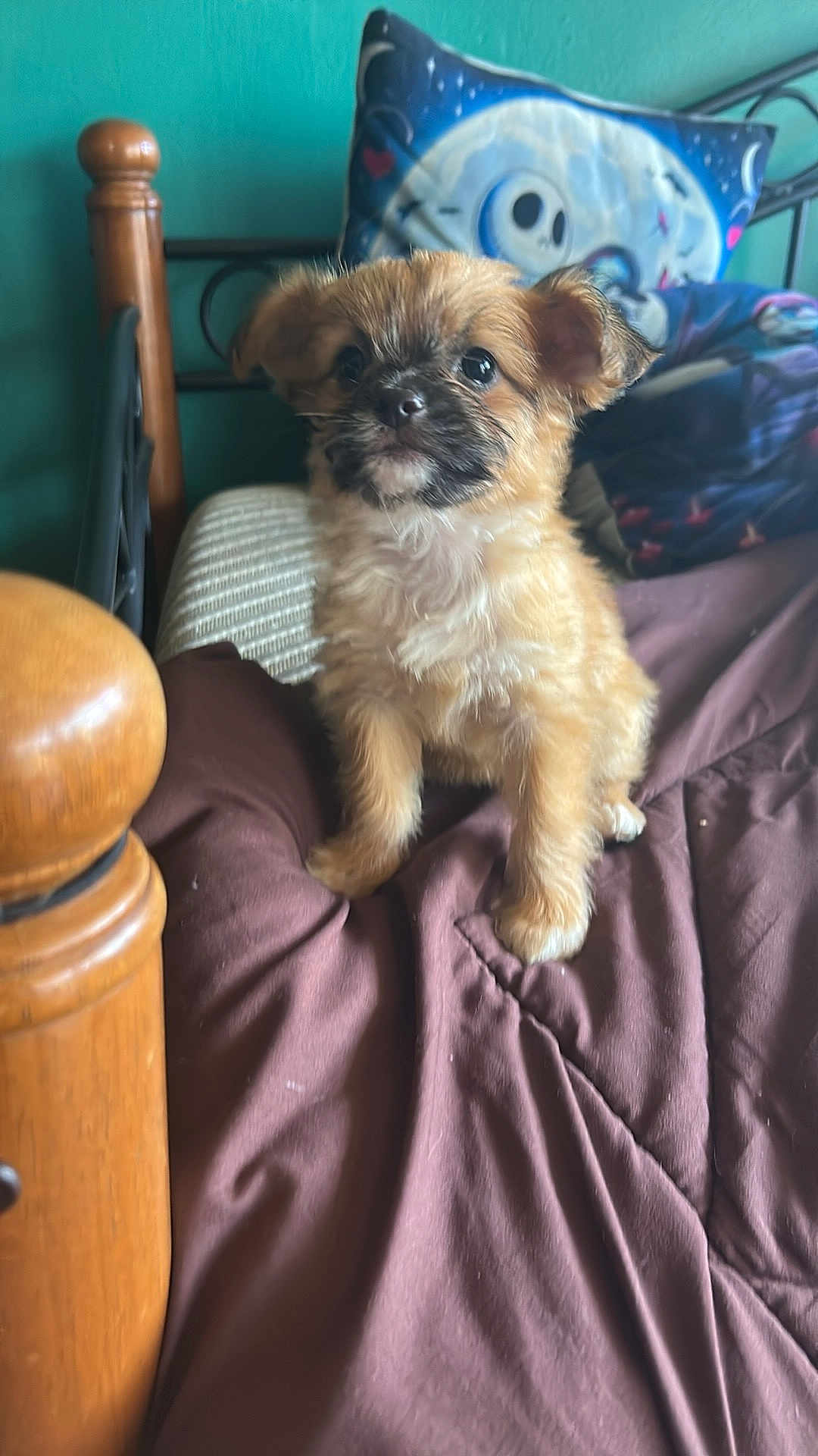 Mia