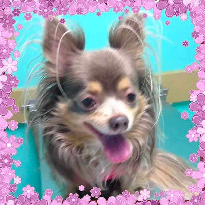 Molly is registered to the contest to win money with this photo: