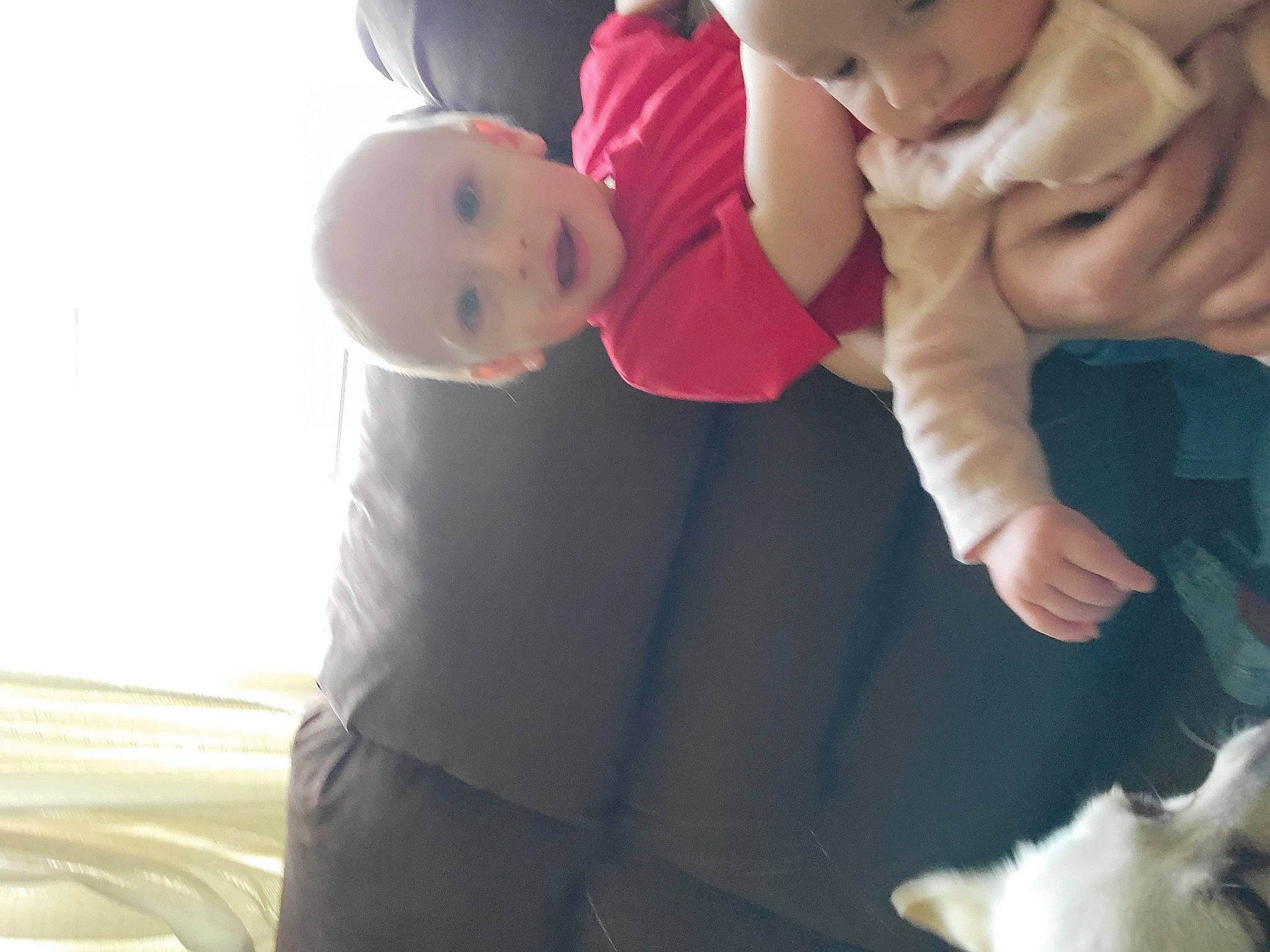 Isaiah is registered to the contest to win money with this photo: arm, baby, black, cheek, ear, eye, face, facial_expression, finger, gesture, hand, head, human_body, mouth, nose, organ, person, photograph, skin, toddler