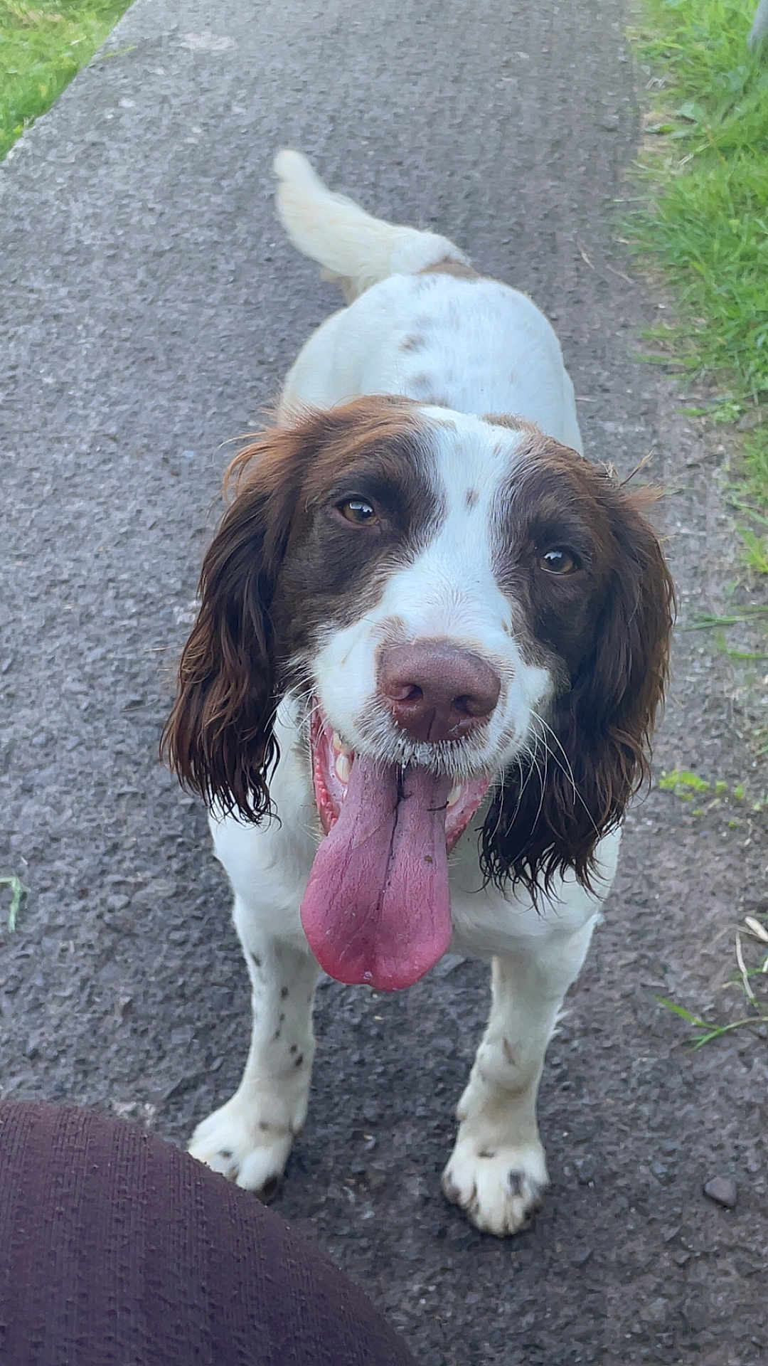 Maisie Moo