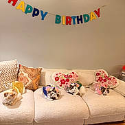 Akash is registered to the contest to win money with this photo: cat, birthday, costume, sofa, pillow, heart_shaped_cushion, banner, indoor, celebration, pet, feline, colorful, decor, festive, cute, animal, living_room, relaxing, fluffy, party