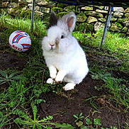 Ethel joined the competition — help win amazing prizes!