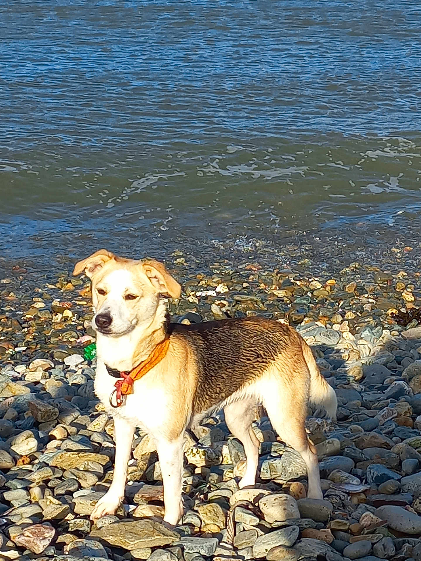 Baïka