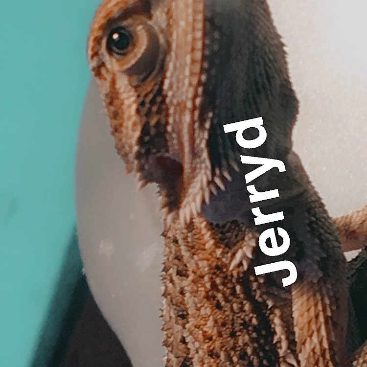Jareldy