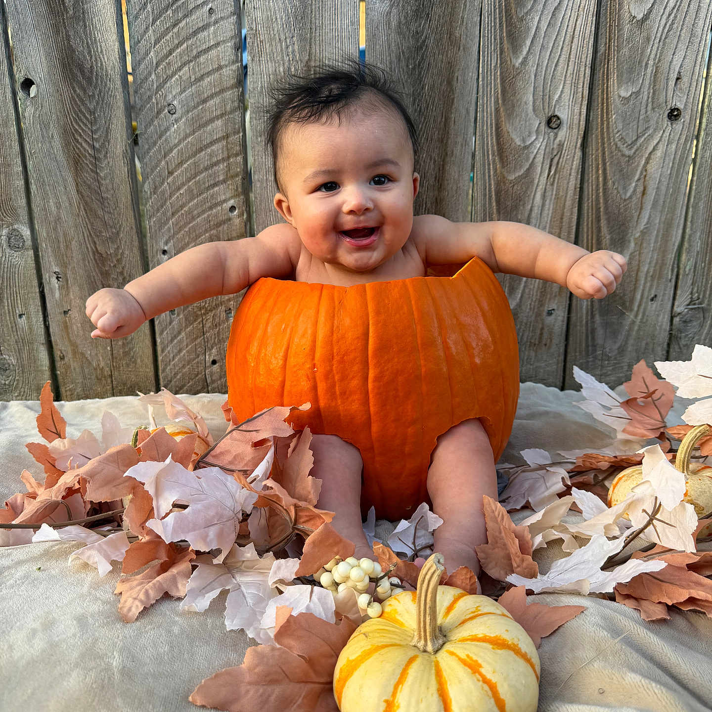 Rylan joined the competition — help win amazing prizes! baby, child, pumpkin, pumpkin_costume, autumn, fall, leaves, gourd, orange, portrait, smiling, happy, outdoor, wooden_fence, seasonal, halloween, infant, sitting, photography, festive