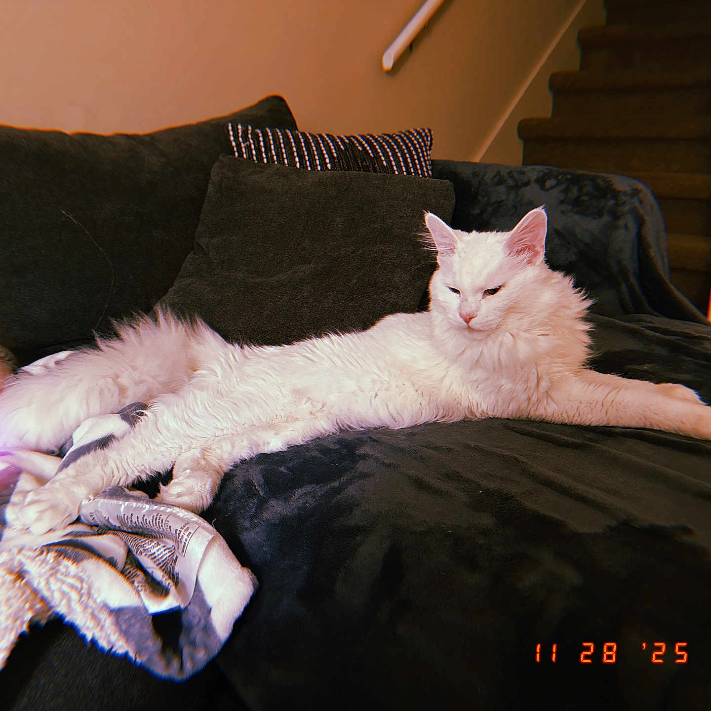 Nimbus