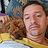 man, dog, brown_dog, curly_fur, face, head, pillow, blanket, bed, resting, closeup, indoors, relaxed, casual, person, pet, fur, sleepy, comfort, cuddle