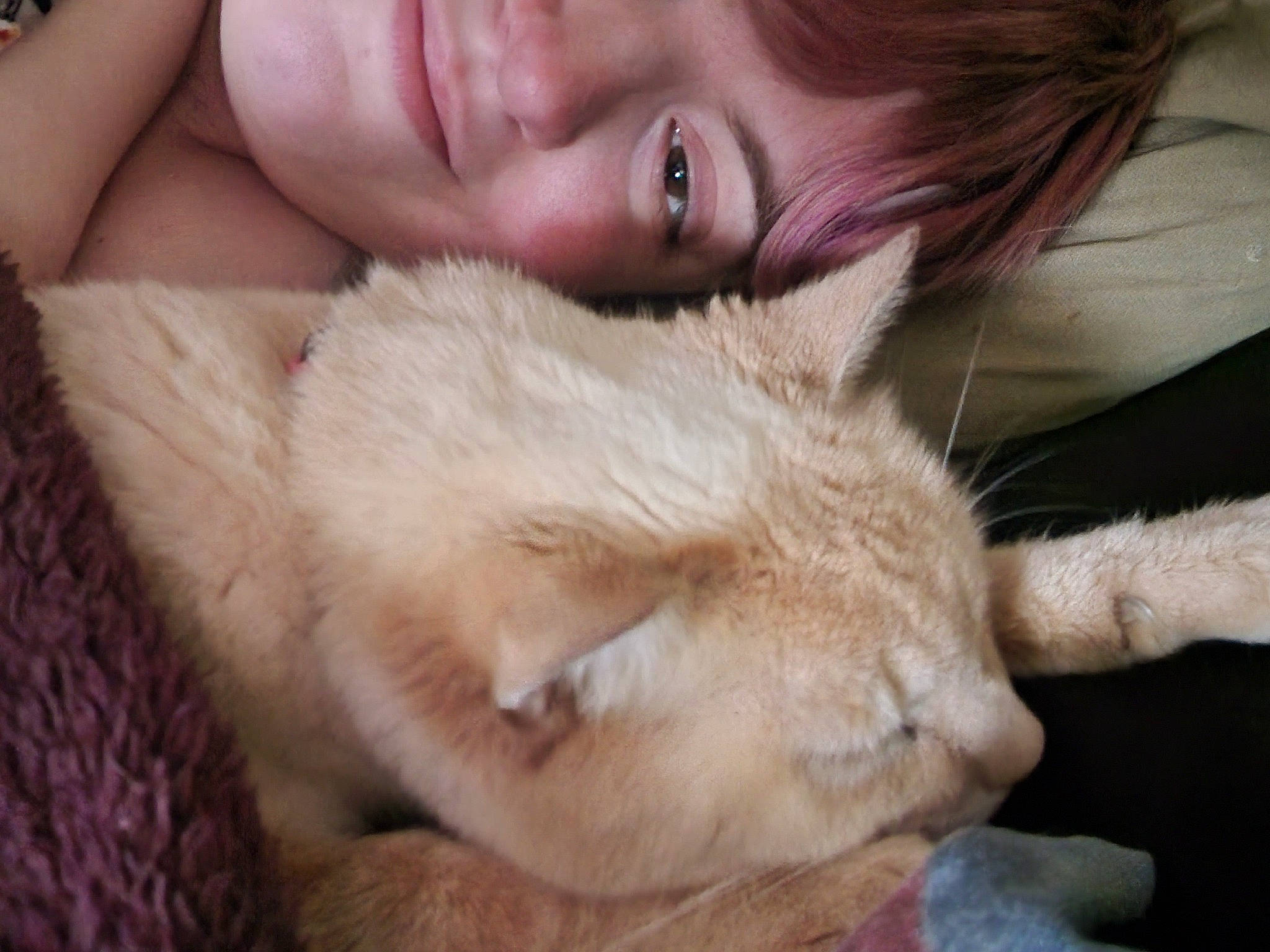 Jasmine joined the competition — help win amazing prizes! carnivore, cat, claw, comfort, domestic_short_haired_cat, ear, eyelash, fawn, felidae, fur, gesture, happy, nail, paw, skin, small_to_medium_sized_cats, smile, snout, tail, whiskers