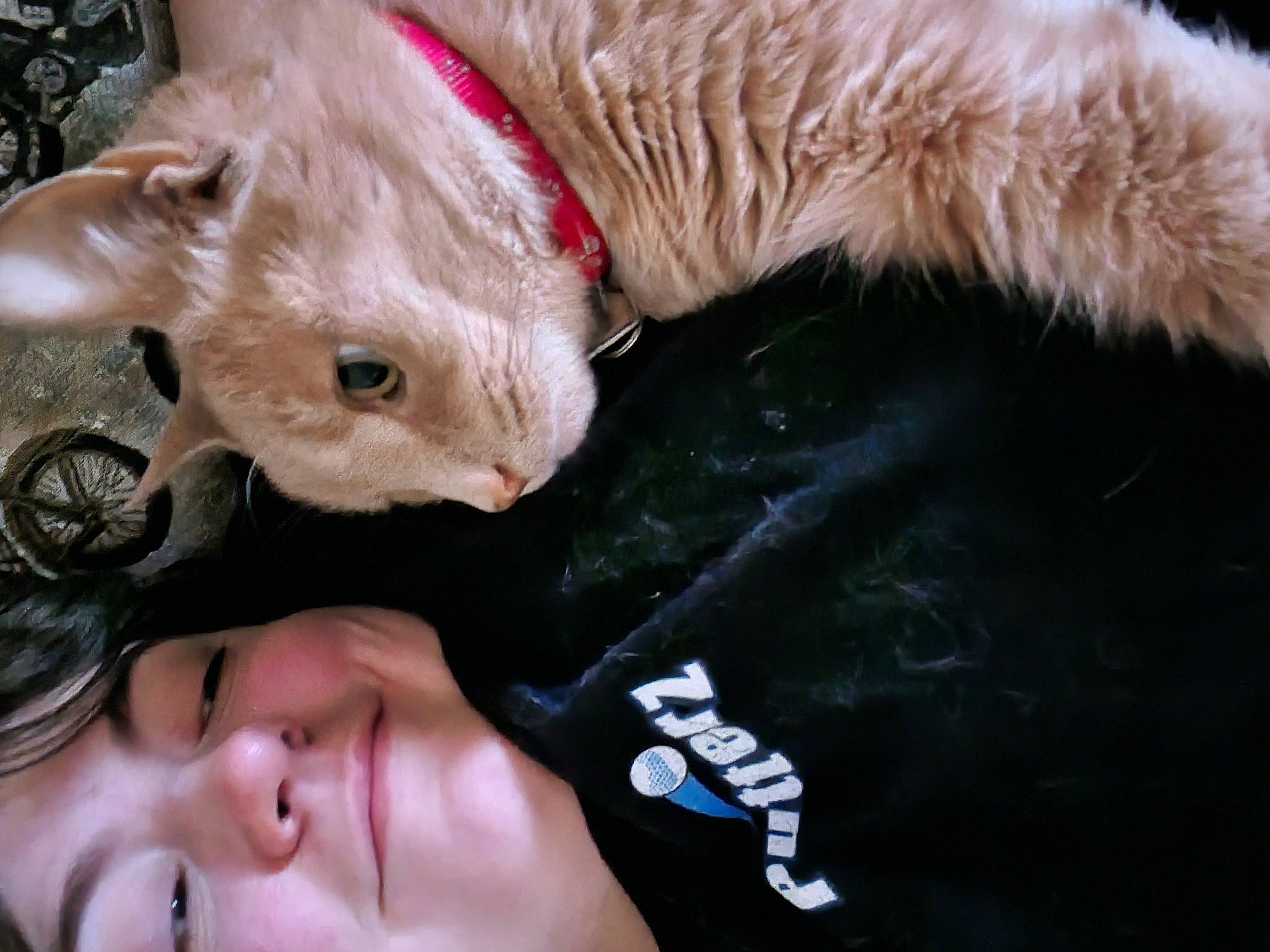 Jacob is registered to the contest to win money with this photo: carnivore, child, comfort, companion_dog, dog, dog_breed, fawn, felidae, fur, gesture, happy, liver, small_to_medium_sized_cats, snout, stuffed_toy, toy, toy_dog, wheel, whiskers, working_animal