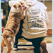 Zeus is registered to the contest to win money with this photo: bulldog, dog, baby, person, hugging, standing, kneeling, indoors, living_room, rug, sweatshirt, printed_text, back_view, pet, companion, cute, funny, friendship, photograph, facebook_interface