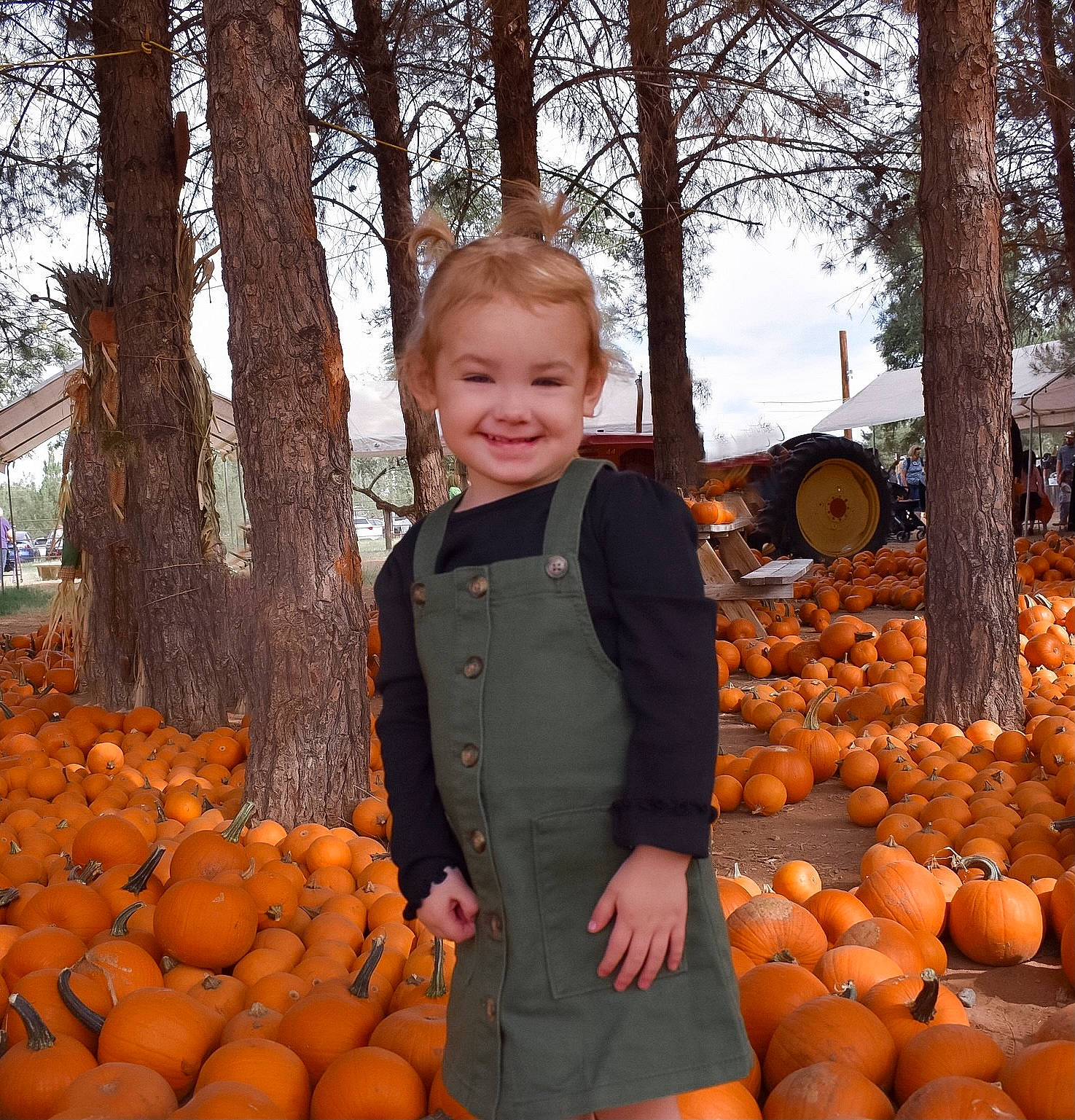 Blake joined the competition — help win amazing prizes! calabaza, cucurbita, facial_expression, gourd, joy, mammal, natural_foods, orange, people, people_in_nature, person, photograph, plant, pumpkin, sky, smile, squash, tree, vegetable, whole_food