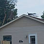 El Diablo is registered to the contest to win money with this photo: cottage, daylighting, facade, home, house, log_cabin, outdoor_structure, property, real_estate, roof, shed, siding, window