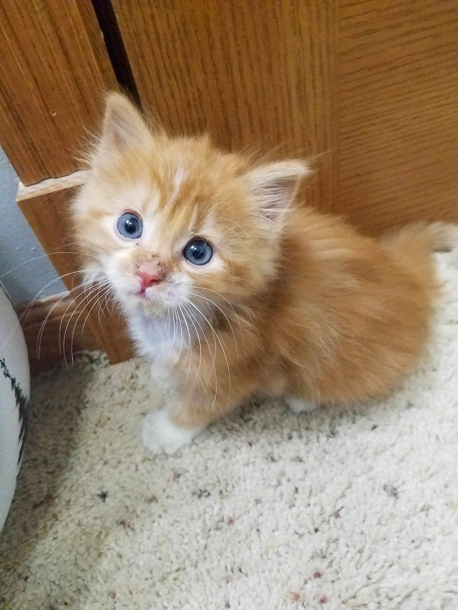 Chunk