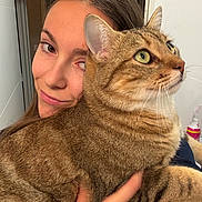Sushi a rejoint le concours — aidez-le/la à gagner de superbes lots ! woman, cat, tabby_cat, pet, indoor, closeup, face, hands, green_eyes, whiskers, fur, smile, portrait, human, animal, love, affection, holding, looking_away, casual