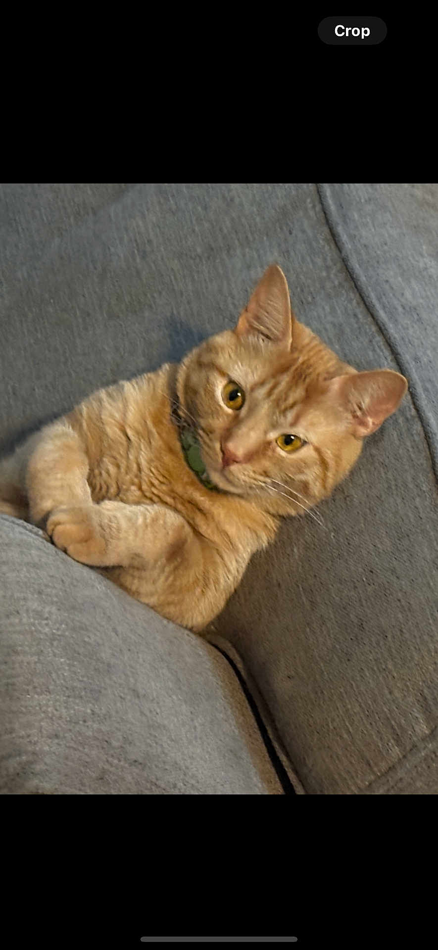 Bob