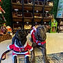 animal, black_dog, brown_dog, christmas, dog, dogs, festive, floor, holiday, indoor, leash, mammal, pet, pets, retail, santa_costume, shelf, store, toy, treats