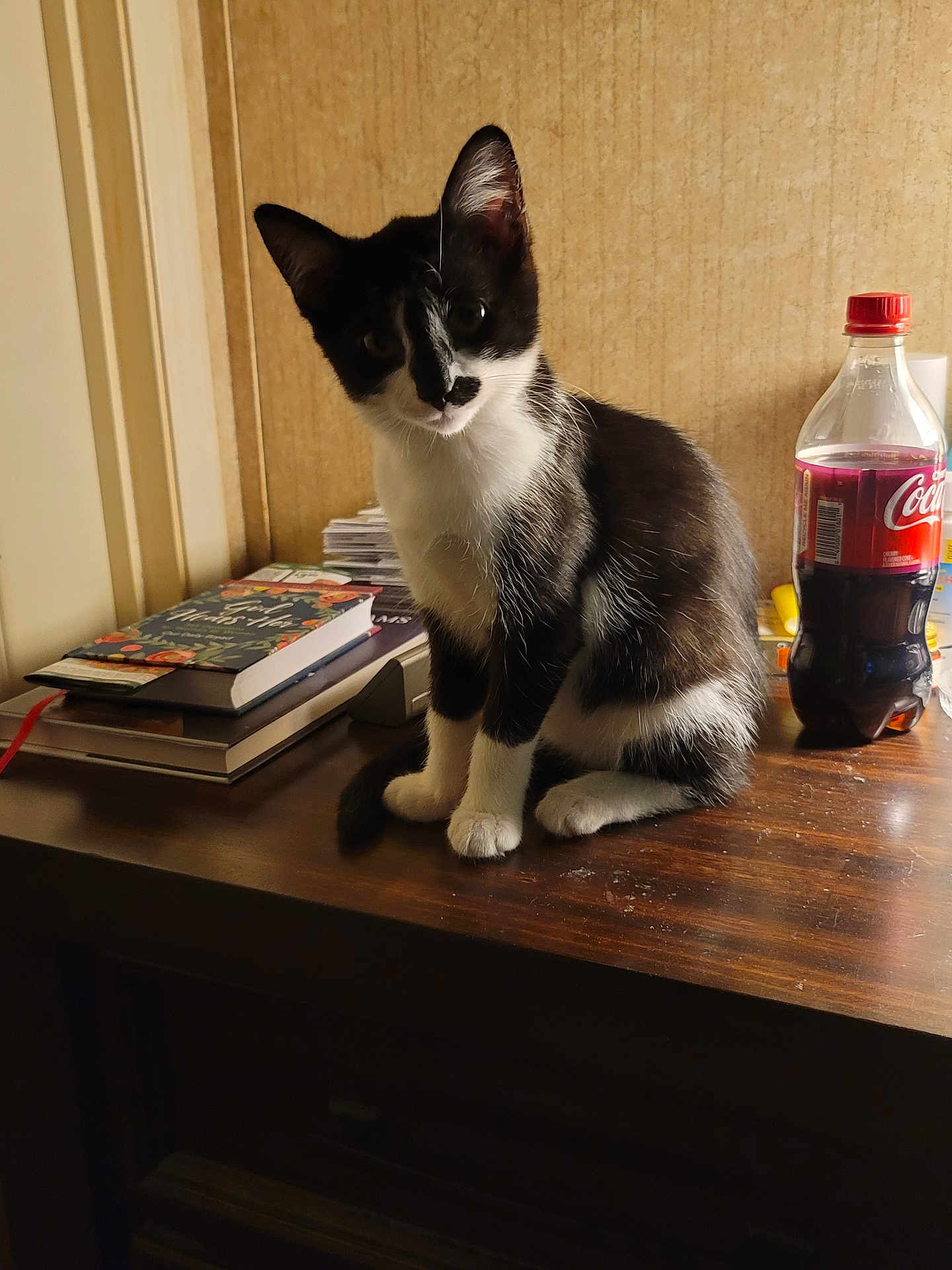 Mia