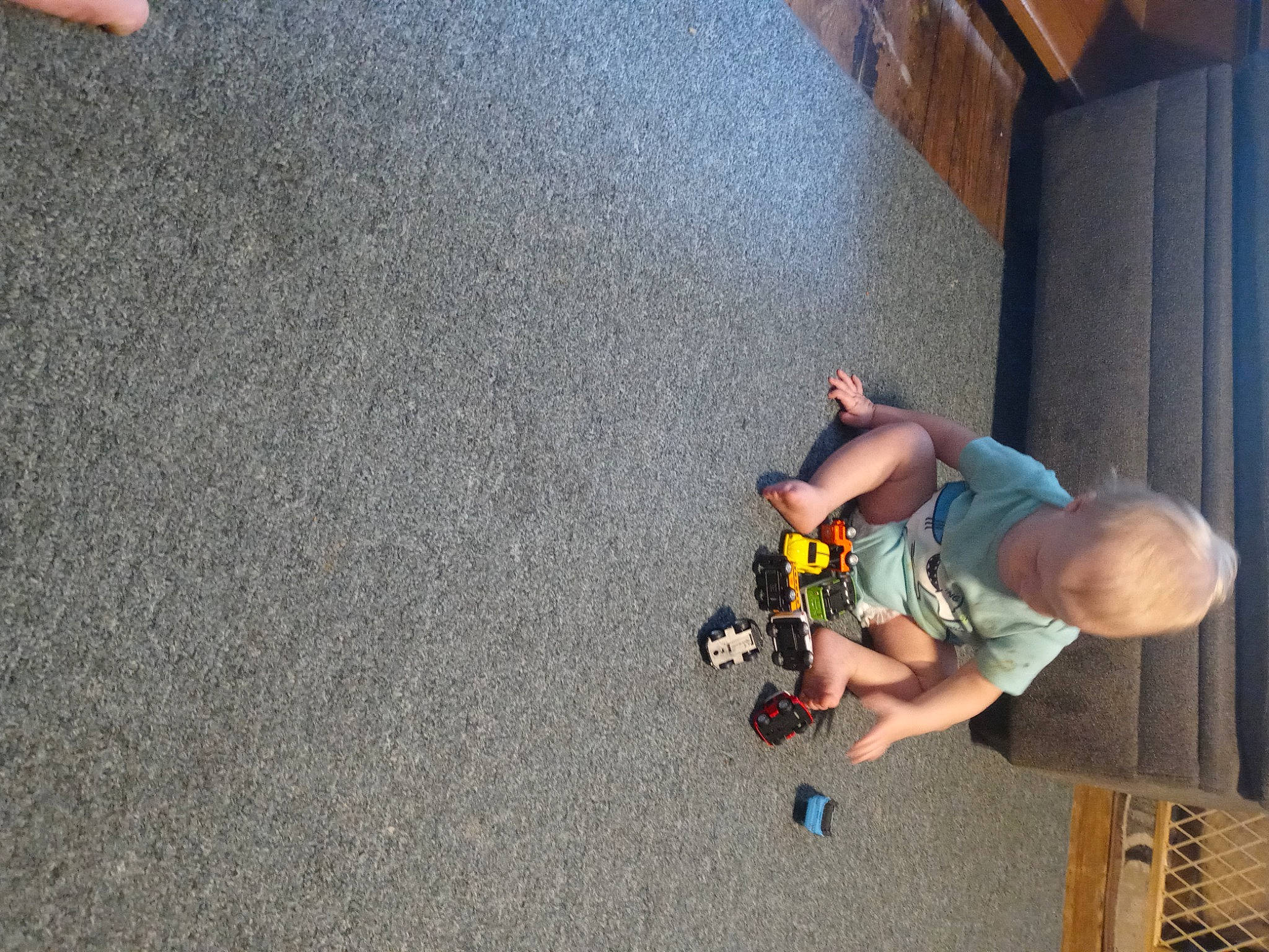 Joesph joined the competition — help win amazing prizes! adventure, asphalt, child, concrete, curtain, flooring, fun, human_leg, knee, leisure, person, recreation, road_surface, shorts, sidewalk, t_shirt, tar, thigh, toddler, tree