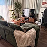 kitten, cat, sofa, blanket, living_room, curtains, television, wood_floor, plant, coffee_table, remote_control, potted_plant, window, chair, decor, interior, home, furniture, sunlight, cozy