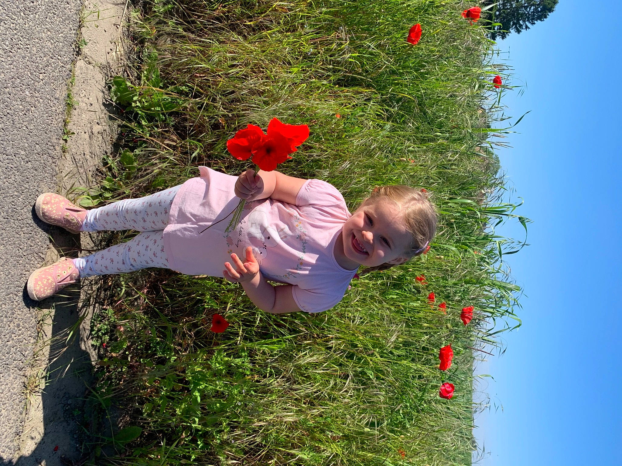Jade participe au concours pour gagner de l'argent avec cette photo : child, flower, flowering_plant, fun, grass, grass_family, groundcover, happy, joy, leisure, nature, people_in_nature, person, petal, plant, red, shrub, sky, spring, summer