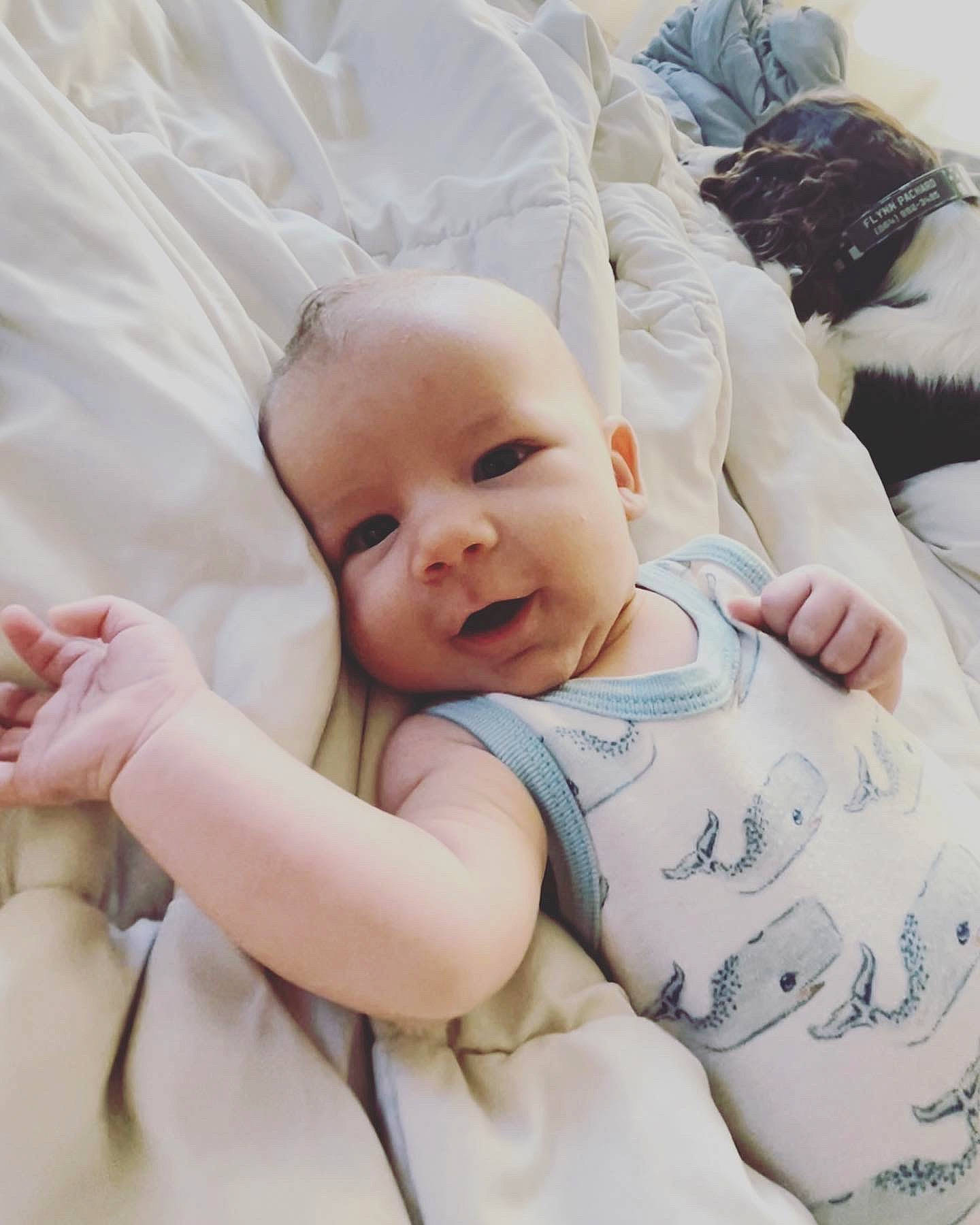 Samuel is registered to the contest to win money with this photo: baby, baby_toddler_clothing, bedding, cheek, child, comfort, event, fur, gesture, happy, linens, pattern, person, portrait_photography, sitting, skin, sleeve, smile, t_shirt, thumb