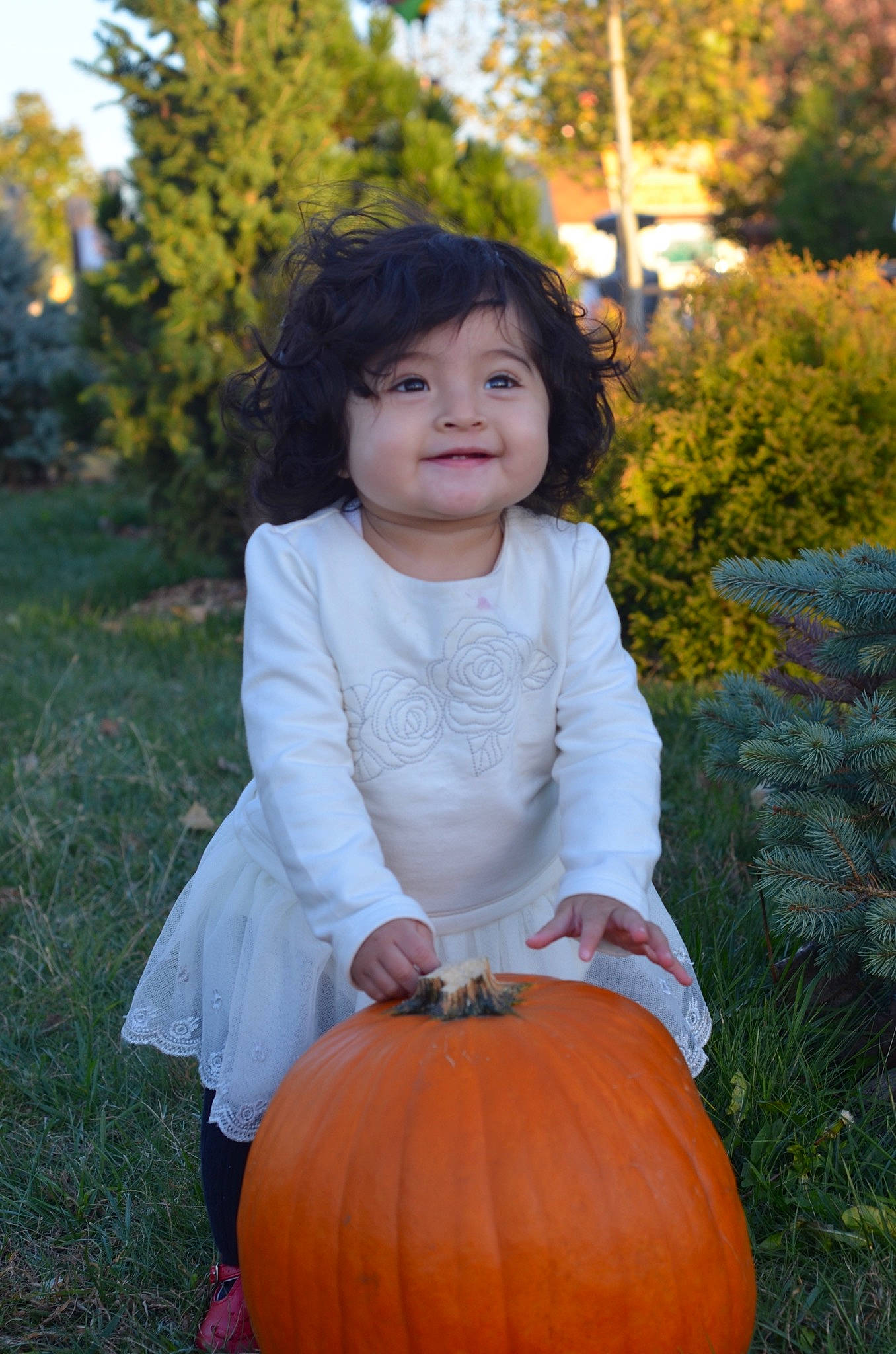 Emiliana joined the competition — help win amazing prizes! autumn, calabaza, child, cucurbita, fruit, gourd, jack_o_lantern, person, plant, pumpkin, smile, squash, toddler, vegetable, winter_squash