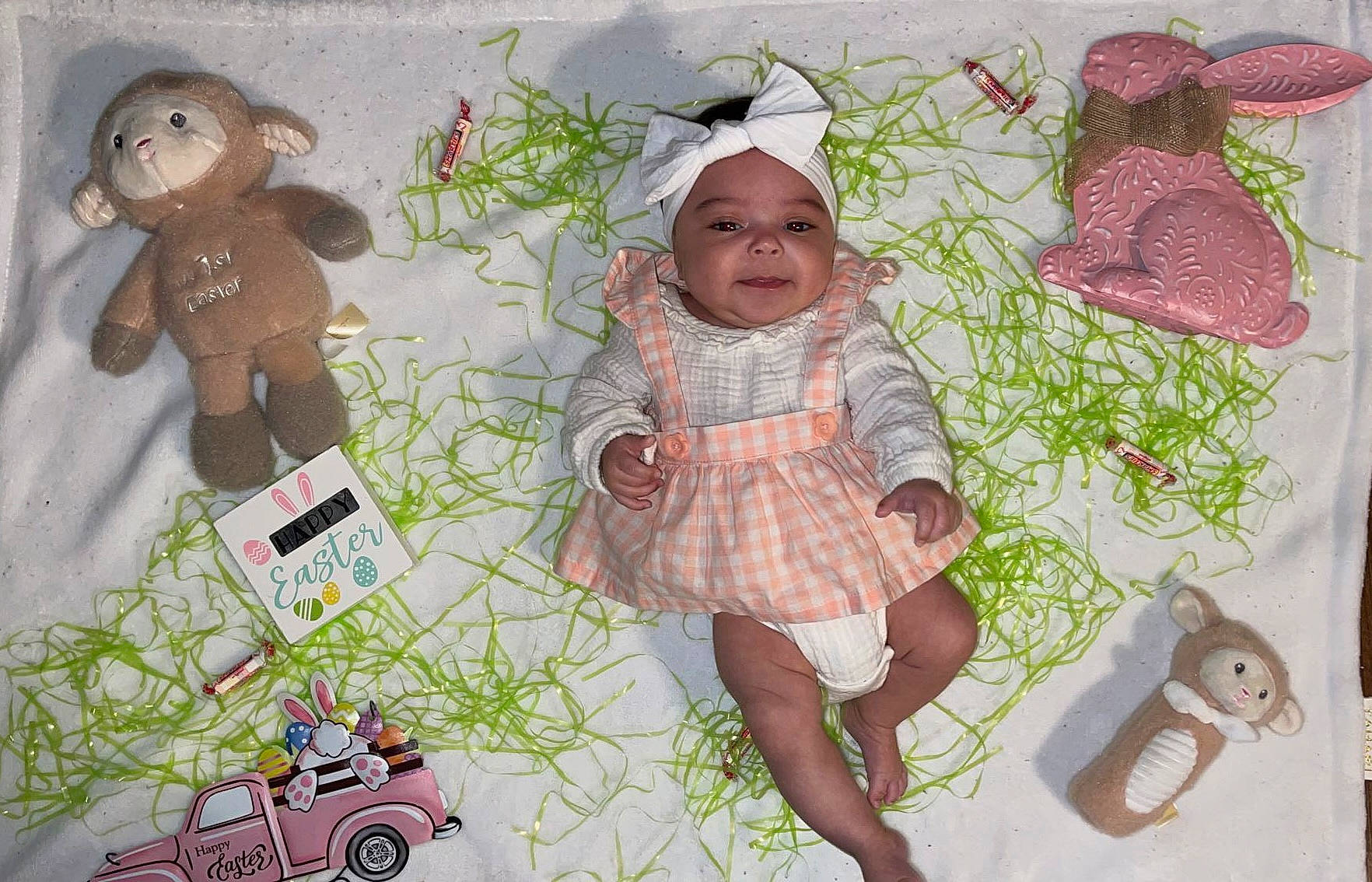 Indigo is registered to the contest to win money with this photo: adaptation, art, baby_toddler_clothing, child, fawn, grass, happy, headwear, mammal, organism, person, pink, plant, product, smile, summer, textile, tire, toddler, toy