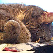 Spice joined the competition — help win amazing prizes!