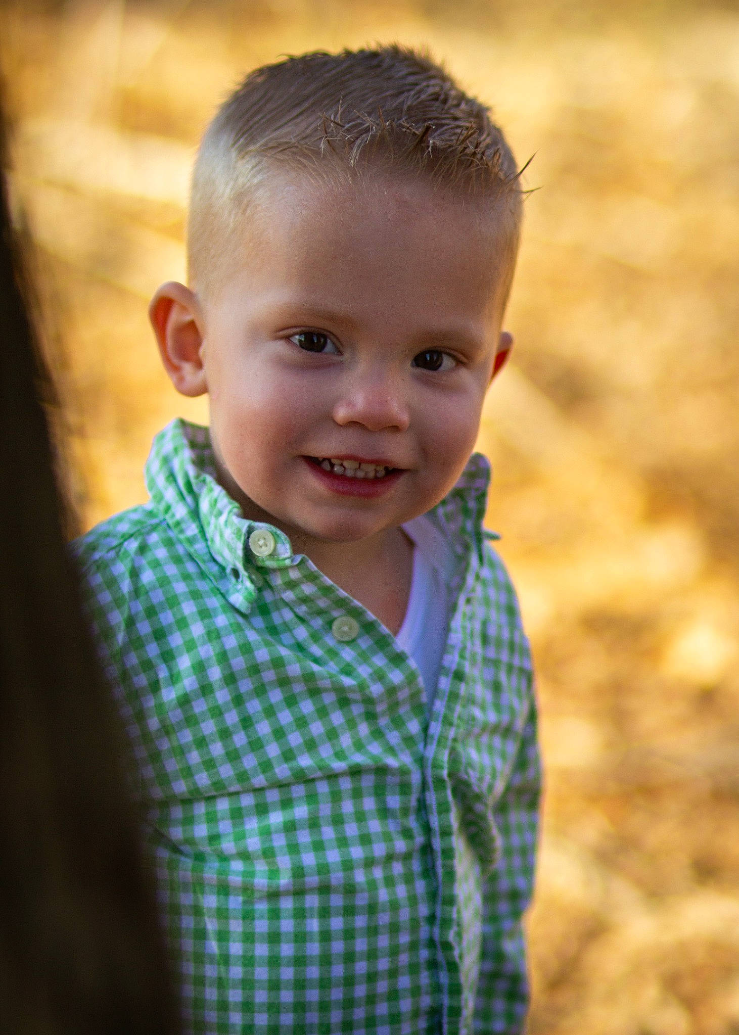 Easton joined the competition — help win amazing prizes! chin, clothing, dress_shirt, eye, face, flash_photography, grass, happy, head, human_body, iris, joy, lip, people_in_nature, person, plant, shirt, skin, sleeve, smile