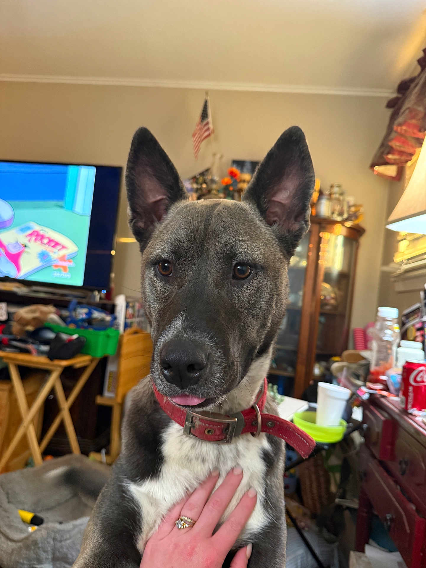 Izzy
