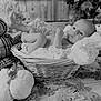 baby, basket, blanket, pumpkin, autumn, leaves, fall, decor, plush, wood, infant, portrait, cozy, cute, seasonal, child, soft, relaxing, indoor, monochrome