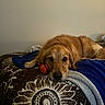 Bailey is registered to the contest to win money with this photo: