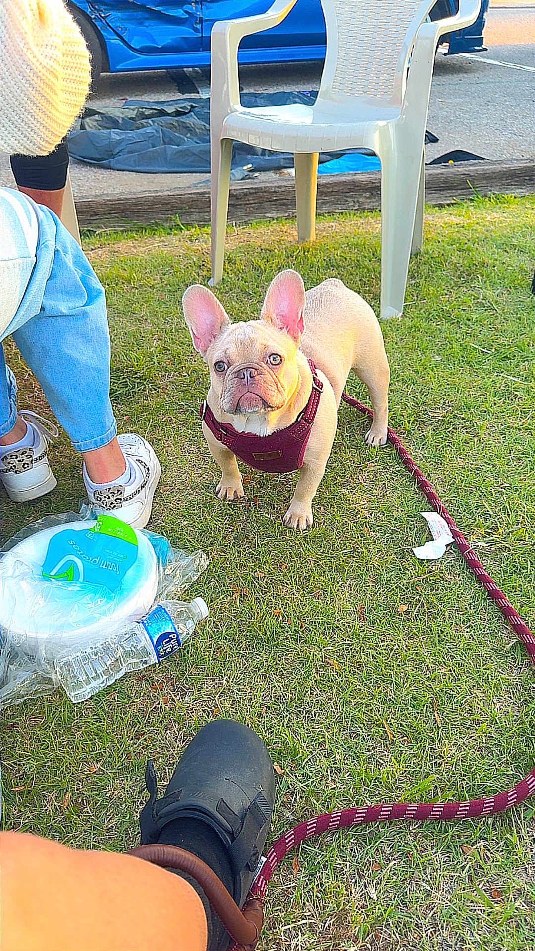 Cali